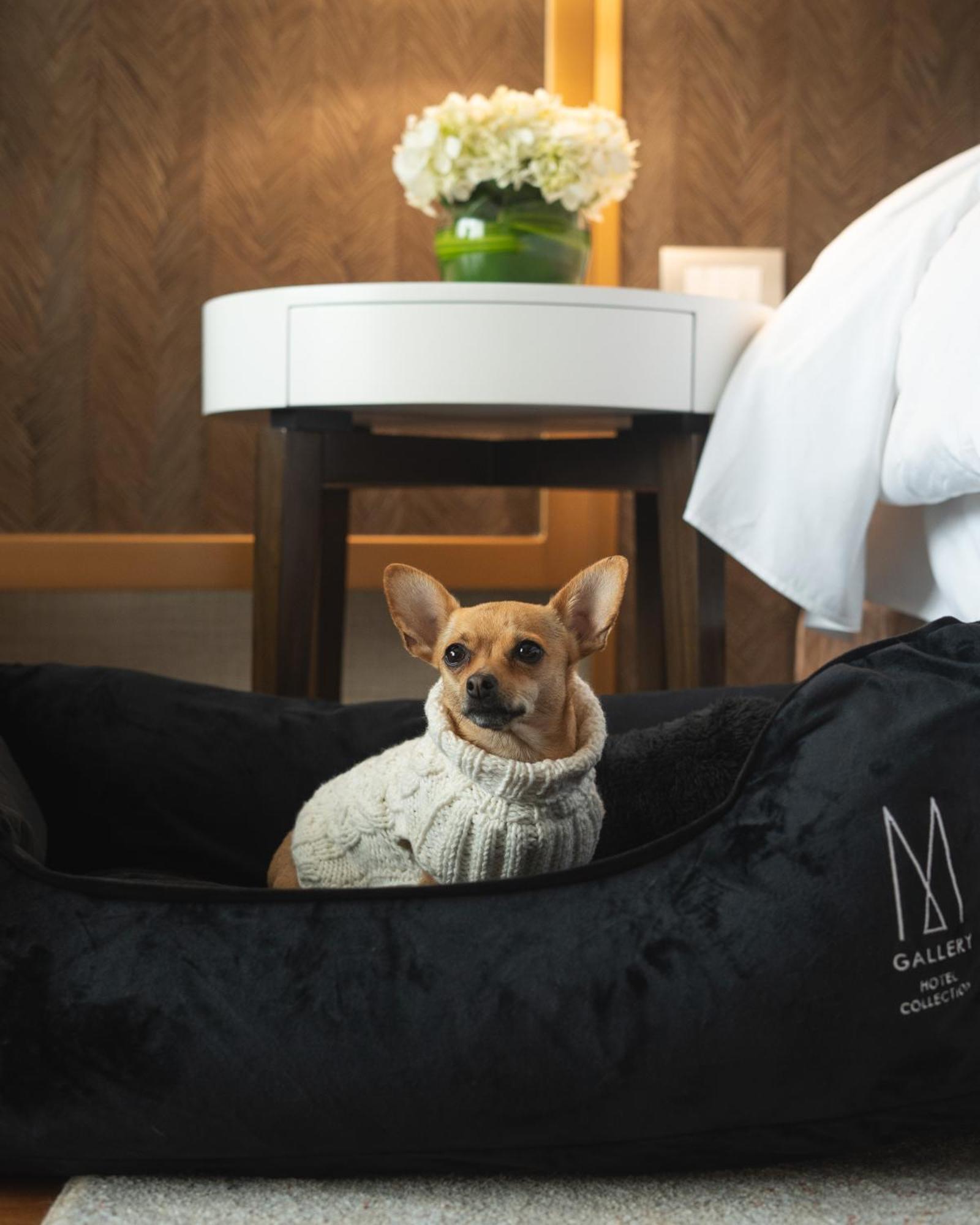 Manto Hotel Lima - MGallery  Exterior foto